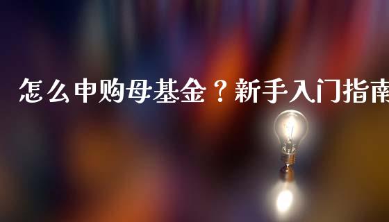 怎么申购母基金？新手入门指南_https://cj001.lansai.wang_金融问答_第1张