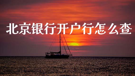北京银行开户行怎么查_https://cj001.lansai.wang_金融问答_第1张