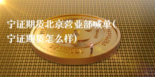 宁证期货北京营业部喊单(宁证期货怎么样)_https://cj001.lansai.wang_财经问答_第1张