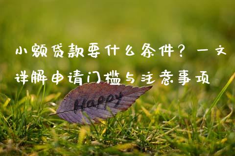 小额贷款要什么条件？一文详解申请门槛与注意事项_https://cj001.lansai.wang_金融问答_第1张