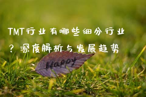 TMT行业有哪些细分行业？深度解析与发展趋势_https://cj001.lansai.wang_金融问答_第1张