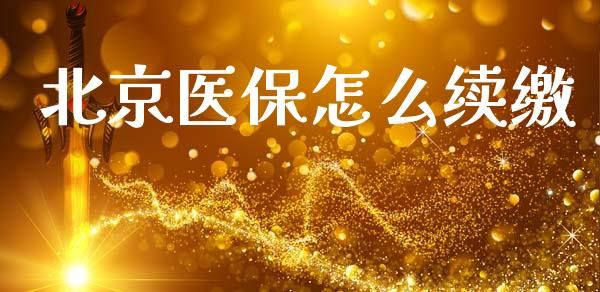 北京医保怎么续缴_https://cj001.lansai.wang_保险问答_第1张