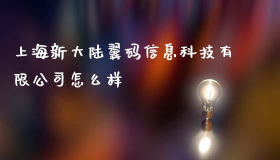 上海新大陆翼码信息科技有限公司怎么样_https://cj001.lansai.wang_理财问答_第1张