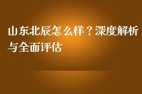 山东北辰怎么样？深度解析与全面评估_https://cj001.lansai.wang_金融问答_第1张