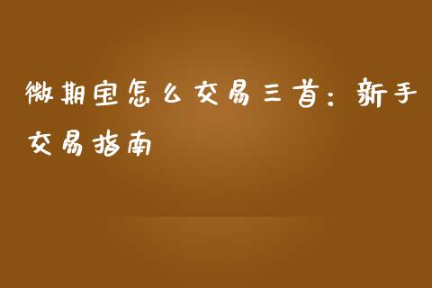 微期宝怎么交易三首：新手交易指南_https://cj001.lansai.wang_理财问答_第1张