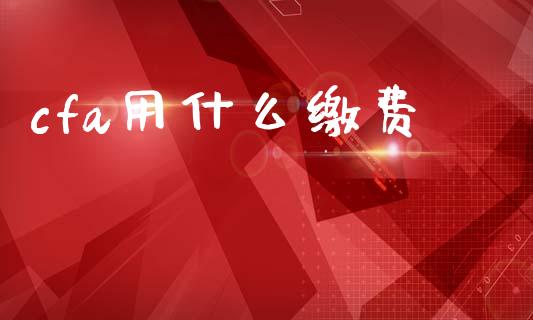 cfa用什么缴费_https://cj001.lansai.wang_会计问答_第1张