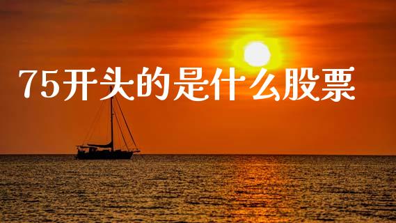 75开头的是什么股票_https://cj001.lansai.wang_财经问答_第1张