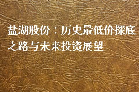 盐湖股份：历史最低价探底之路与未来投资展望_https://cj001.lansai.wang_股市问答_第1张