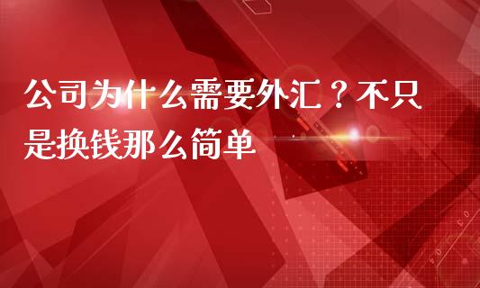 公司为什么需要外汇？不只是换钱那么简单_https://cj001.lansai.wang_金融问答_第1张