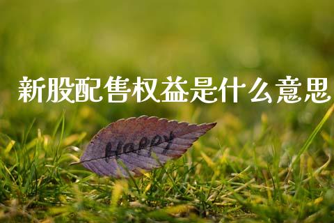 新股配售权益是什么意思_https://cj001.lansai.wang_金融问答_第1张