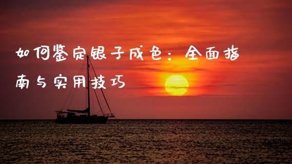 如何鉴定银子成色：全面指南与实用技巧_https://cj001.lansai.wang_理财问答_第1张