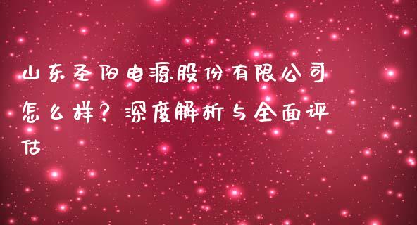 山东圣阳电源股份有限公司怎么样？深度解析与全面评估_https://cj001.lansai.wang_会计问答_第1张