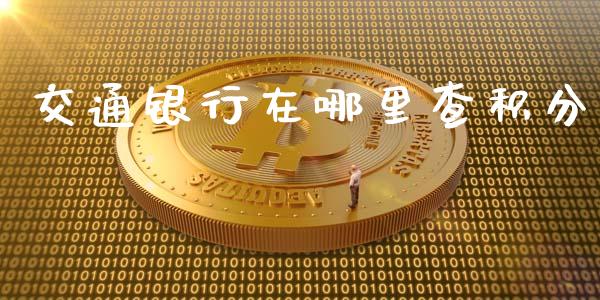 交通银行在哪里查积分_https://cj001.lansai.wang_股市问答_第1张