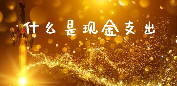 什么是现金支出_https://cj001.lansai.wang_会计问答_第1张