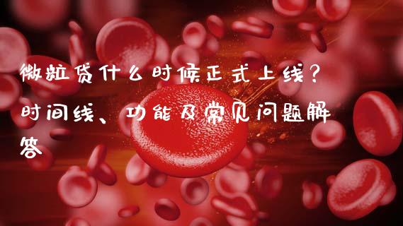 微粒贷什么时候正式上线？时间线、功能及常见问题解答_https://cj001.lansai.wang_理财问答_第1张