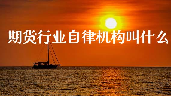 期货行业自律机构叫什么_https://cj001.lansai.wang_期货问答_第1张