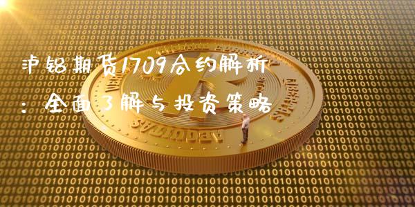 泸铝期货1709合约解析：全面了解与投资策略_https://cj001.lansai.wang_会计问答_第1张