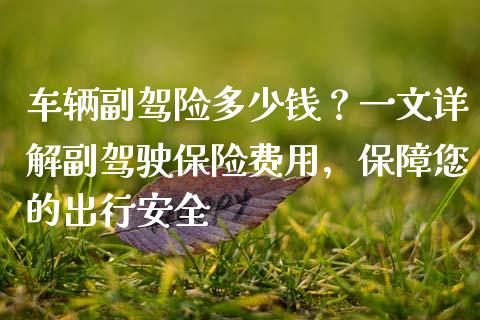 车辆副驾险多少钱？一文详解副驾驶保险费用，保障您的出行安全_https://cj001.lansai.wang_财经问答_第1张