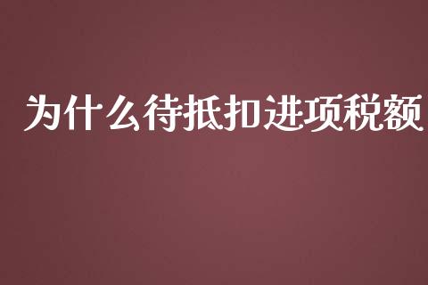 为什么待抵扣进项税额_https://cj001.lansai.wang_会计问答_第1张