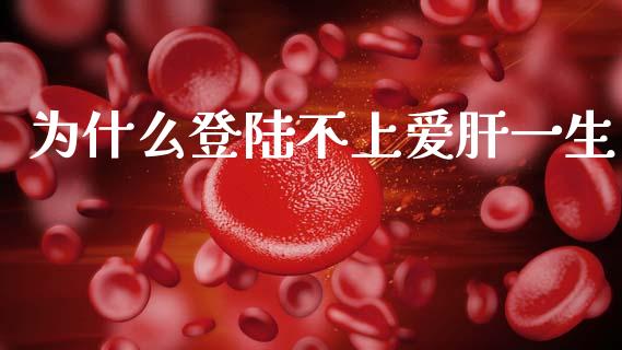 为什么登陆不上爱肝一生_https://cj001.lansai.wang_财经问答_第1张