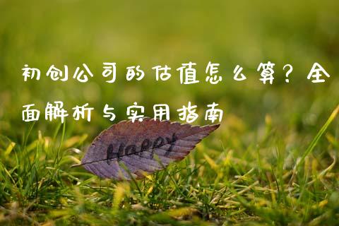 初创公司的估值怎么算？全面解析与实用指南_https://cj001.lansai.wang_理财问答_第1张