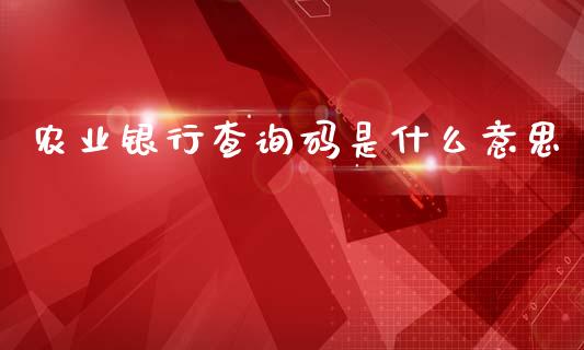 农业银行查询码是什么意思_https://cj001.lansai.wang_金融问答_第1张