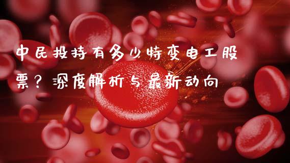 中民投持有多少特变电工股票？深度解析与最新动向_https://cj001.lansai.wang_股市问答_第1张