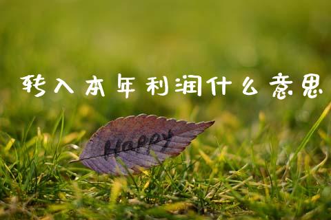 转入本年利润什么意思_https://cj001.lansai.wang_会计问答_第1张