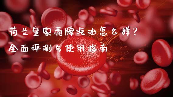 荷兰皇家壳牌汽油怎么样？全面评测与使用指南_https://cj001.lansai.wang_财经问答_第1张