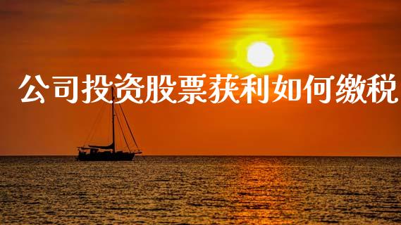 公司投资股票获利如何缴税_https://cj001.lansai.wang_理财问答_第1张