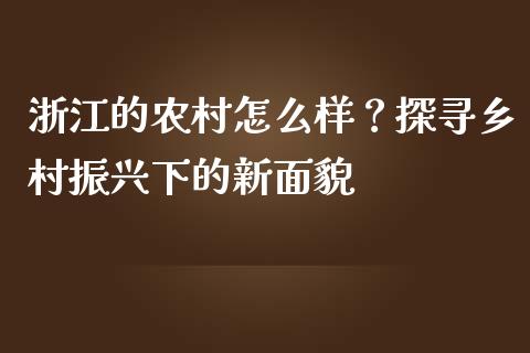 浙江的农村怎么样？探寻乡村振兴下的新面貌_https://cj001.lansai.wang_理财问答_第1张