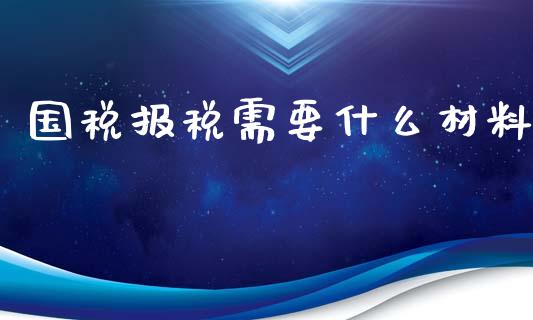 国税报税需要什么材料_https://cj001.lansai.wang_会计问答_第1张