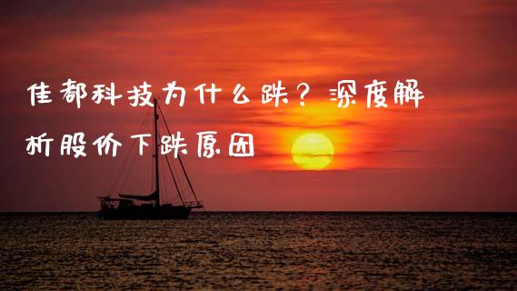 佳都科技为什么跌？深度解析股价下跌原因_https://cj001.lansai.wang_保险问答_第1张
