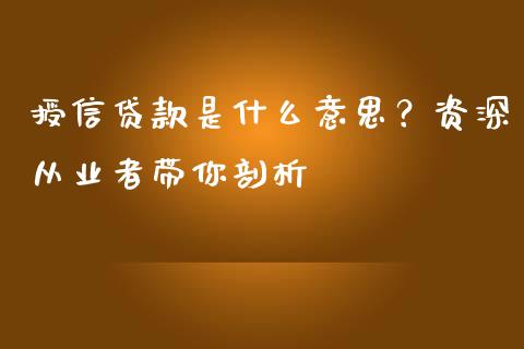 授信贷款是什么意思？资深从业者带你剖析_https://cj001.lansai.wang_会计问答_第1张