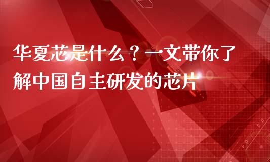 华夏芯是什么？一文带你了解中国自主研发的芯片_https://cj001.lansai.wang_金融问答_第1张