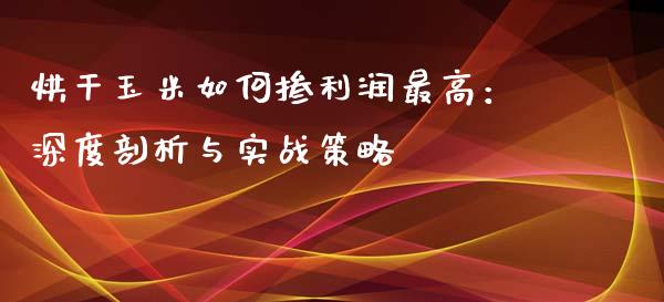 烘干玉米如何掺利润最高：深度剖析与实战策略_https://cj001.lansai.wang_期货问答_第1张