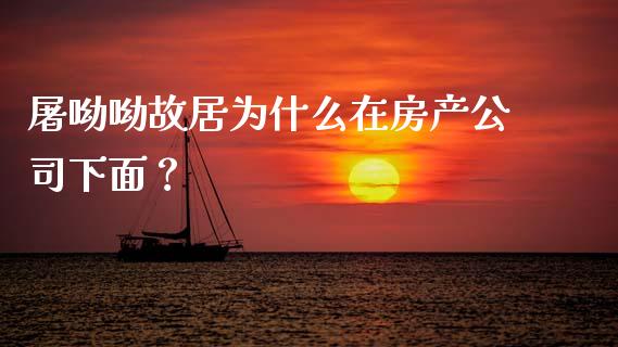屠呦呦故居为什么在房产公司下面？_https://cj001.lansai.wang_会计问答_第1张