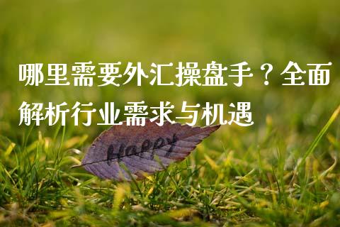 哪里需要外汇操盘手？全面解析行业需求与机遇_https://cj001.lansai.wang_期货问答_第1张
