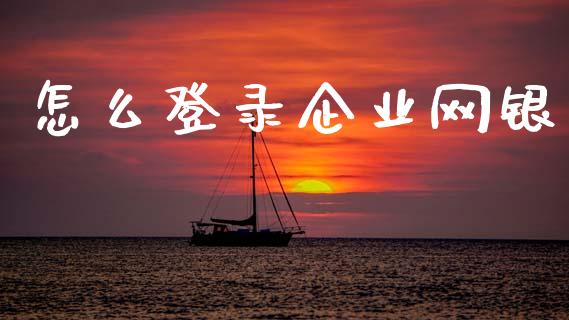 怎么登录企业网银_https://cj001.lansai.wang_金融问答_第1张