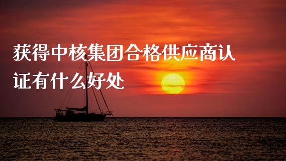 获得中核集团合格供应商认证有什么好处_https://cj001.lansai.wang_期货问答_第1张