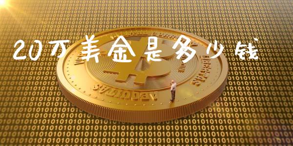 20万美金是多少钱_https://cj001.lansai.wang_理财问答_第1张