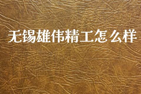 无锡雄伟精工怎么样_https://cj001.lansai.wang_财经百问_第1张