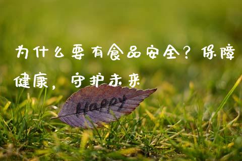 为什么要有食品安全？保障健康，守护未来_https://cj001.lansai.wang_财经问答_第1张