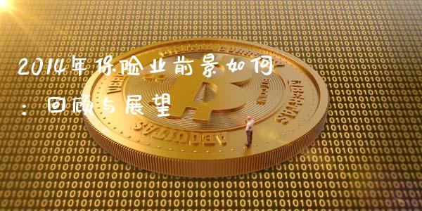 2014年保险业前景如何：回顾与展望_https://cj001.lansai.wang_会计问答_第1张