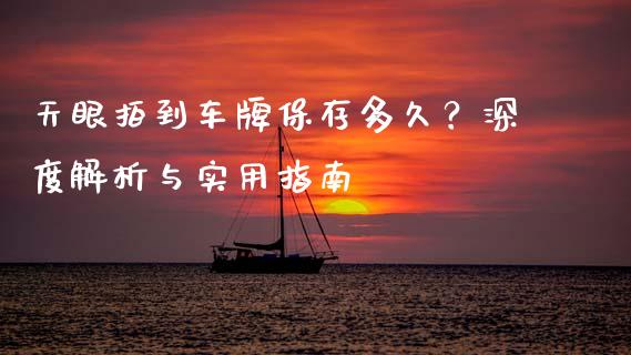 天眼拍到车牌保存多久？深度解析与实用指南_https://cj001.lansai.wang_财经百问_第1张