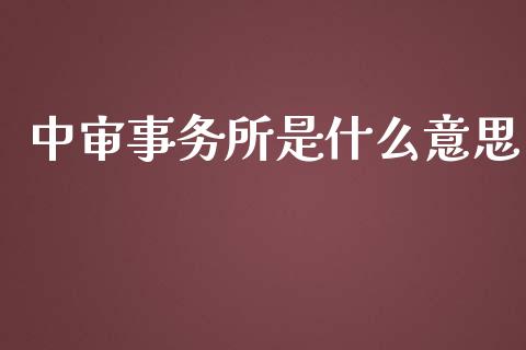 中审事务所是什么意思_https://cj001.lansai.wang_会计问答_第1张