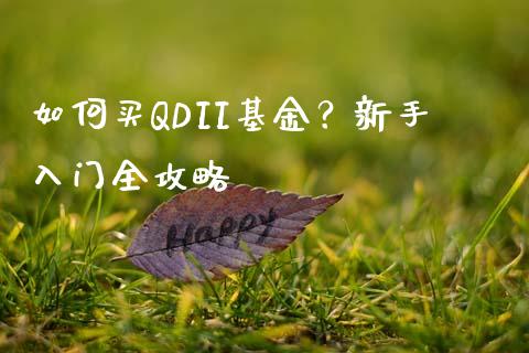 如何买QDII基金？新手入门全攻略_https://cj001.lansai.wang_会计问答_第1张