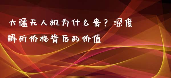 大疆无人机为什么贵？深度解析价格背后的价值_https://cj001.lansai.wang_金融问答_第1张