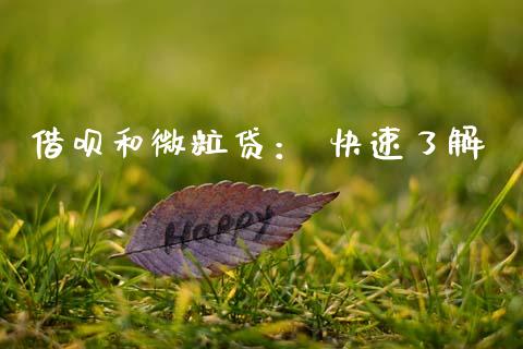 借呗和微粒贷： 快速了解_https://cj001.lansai.wang_股市问答_第1张