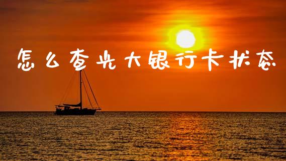 怎么查光大银行卡状态_https://cj001.lansai.wang_金融问答_第1张